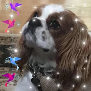 Meet your Posher, Becky